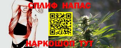 сатива Заволжье