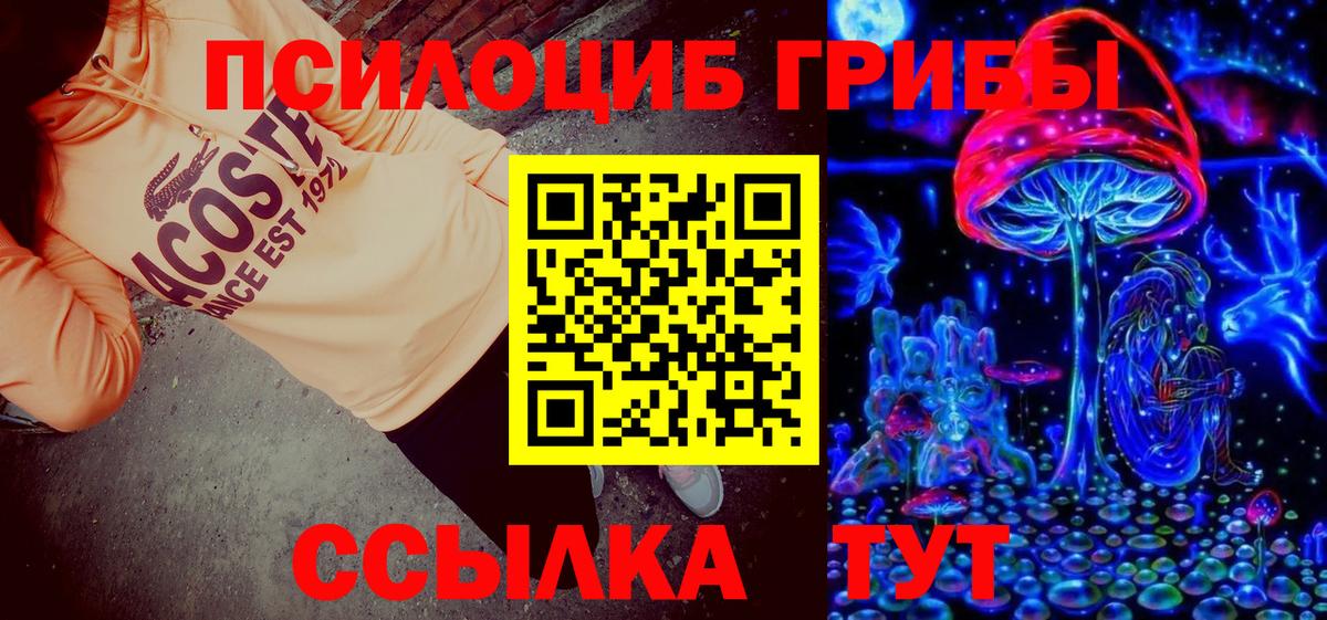 Псилоцибиновые грибы MAGIC MUSHROOMS Курчатов